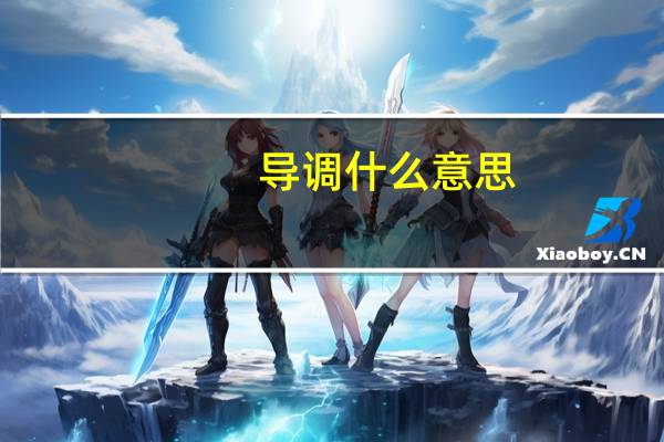导调什么意思