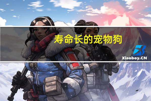 寿命长的宠物狗
