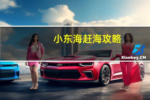 小东海赶海攻略