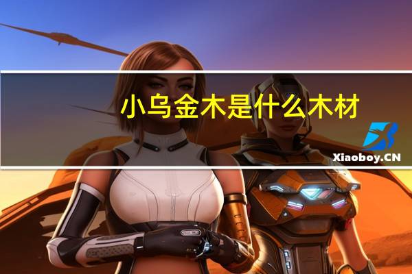 小乌金木是什么木材