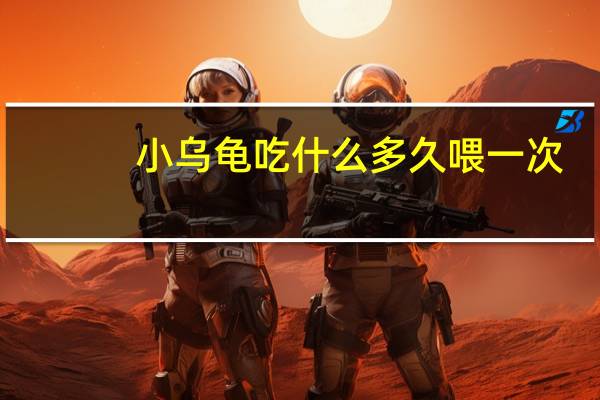 小乌龟吃什么多久喂一次