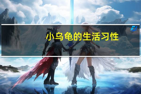 小乌龟的生活习性