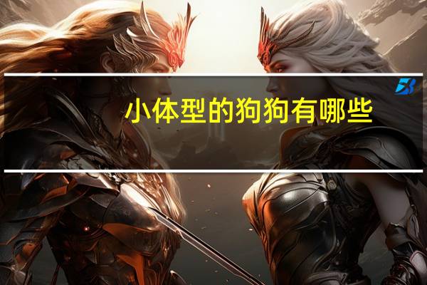 小体型的狗狗有哪些