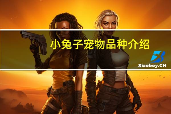 小兔子宠物品种介绍