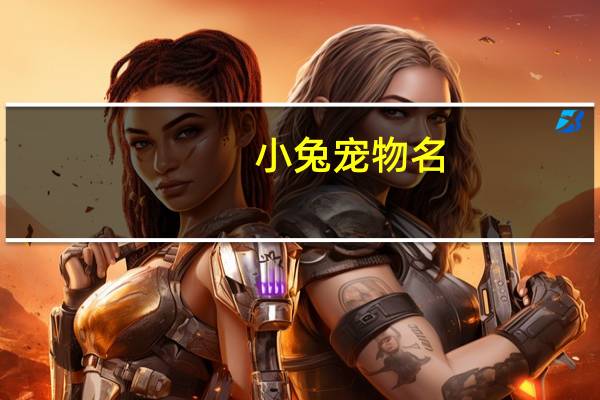 小兔宠物名