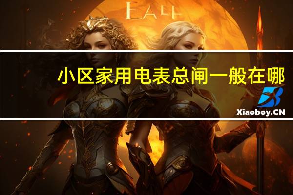 小区家用电表总闸一般在哪
