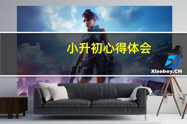 小升初心得体会