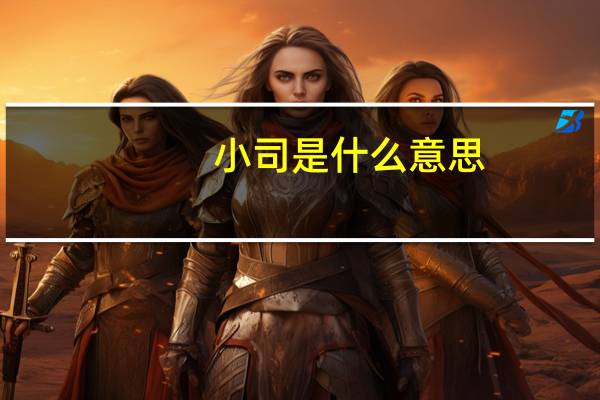 小司是什么意思