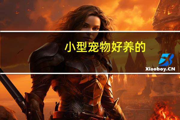 小型宠物好养的