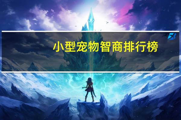 小型宠物智商排行榜