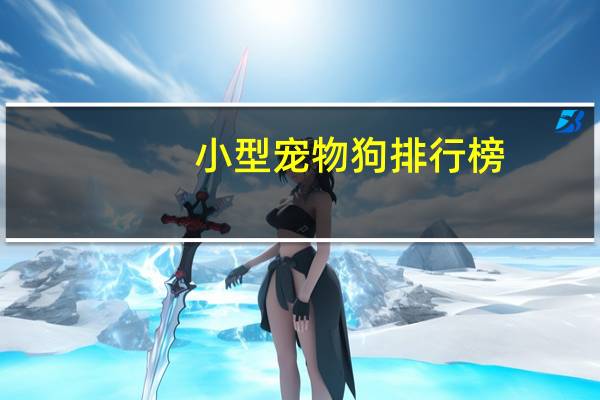 小型宠物狗排行榜