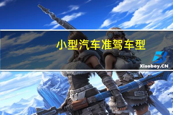小型汽车准驾车型