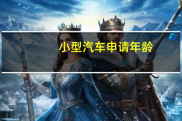 小型汽车申请年龄