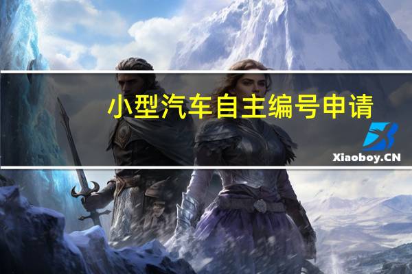 小型汽车自主编号申请