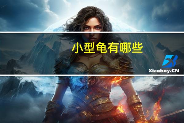 小型龟有哪些