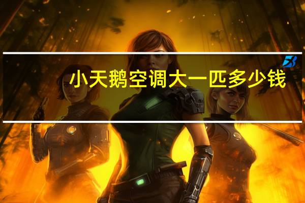 小天鹅空调大一匹多少钱