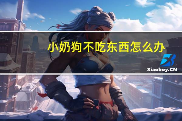 小奶狗不吃东西怎么办