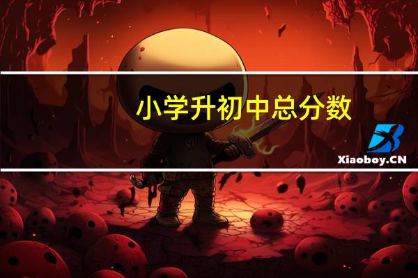 小学升初中总分数