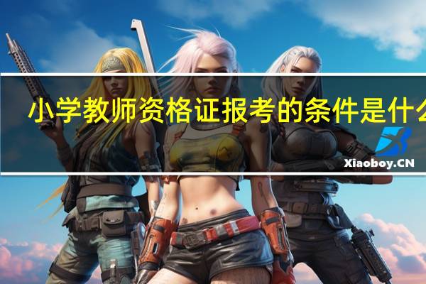 小学教师资格证报考的条件是什么啊