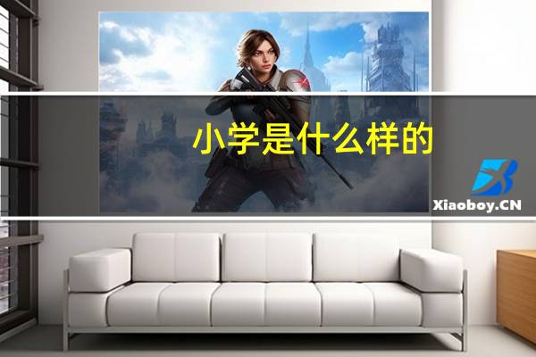 小学是什么样的