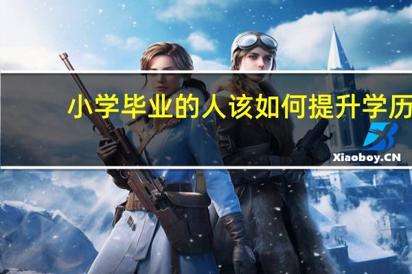 小学毕业的人该如何提升学历