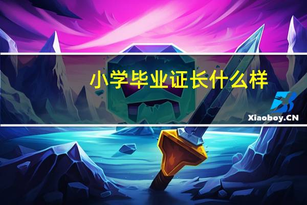 小学毕业证长什么样