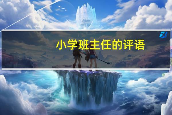小学班主任的评语