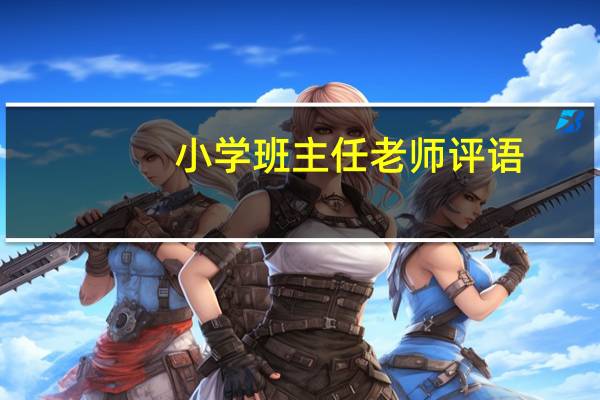 小学班主任老师评语