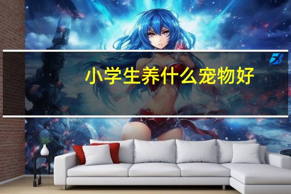 小学生养什么宠物好