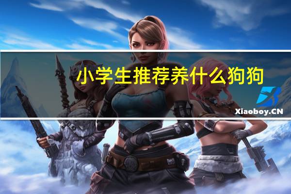 小学生推荐养什么狗狗