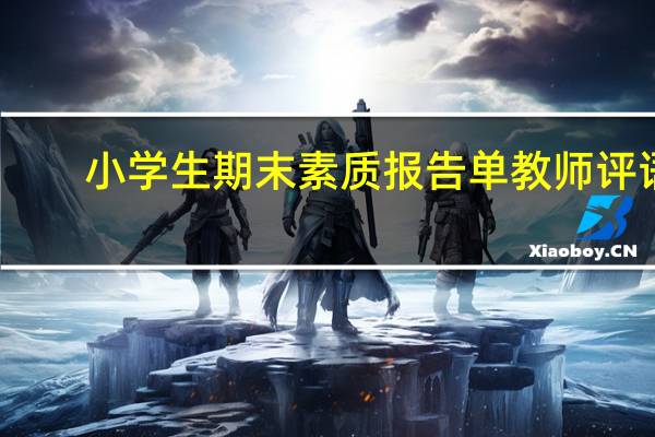 小学生期末素质报告单教师评语