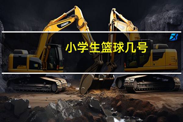 小学生篮球几号