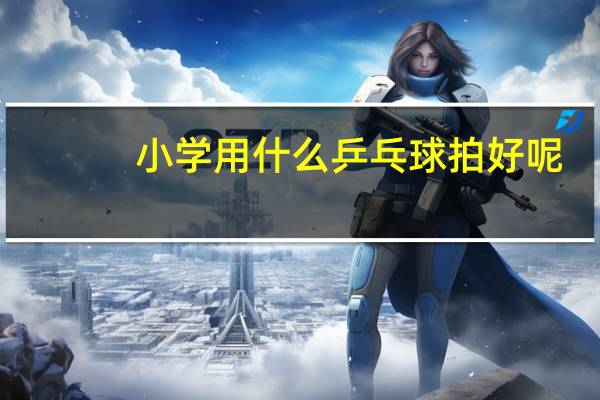 小学用什么乒乓球拍好呢