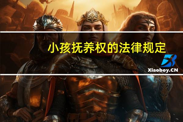 小孩抚养权的法律规定