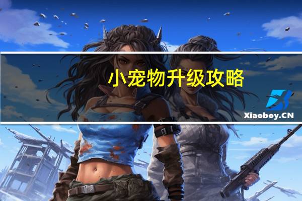 小宠物升级攻略