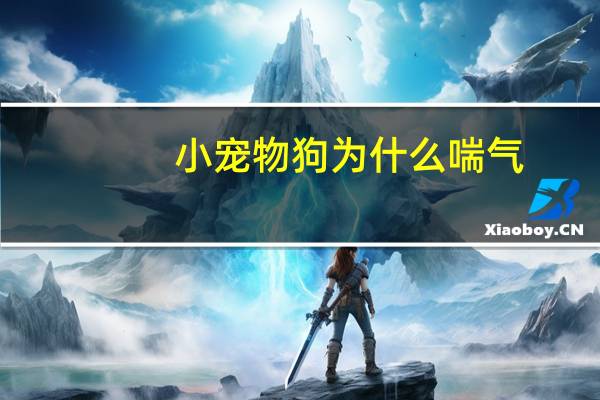 小宠物狗为什么喘气