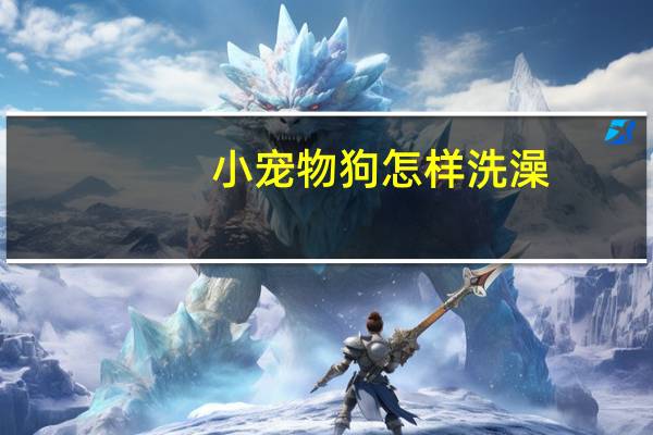 小宠物狗怎样洗澡
