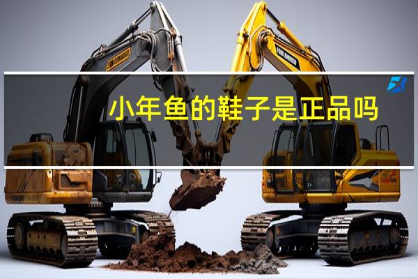 小年鱼的鞋子是正品吗