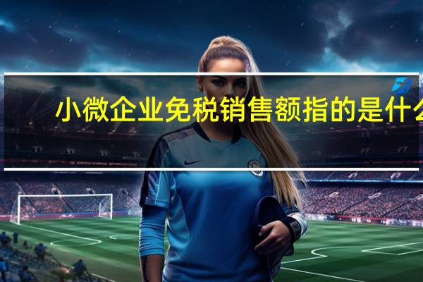 小微企业免税销售额指的是什么