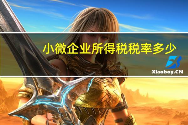 小微企业所得税税率多少