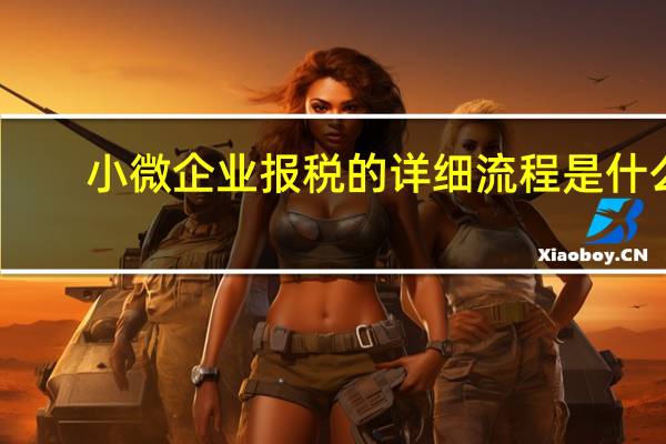 小微企业报税的详细流程是什么