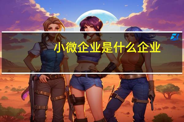 小微企业是什么企业