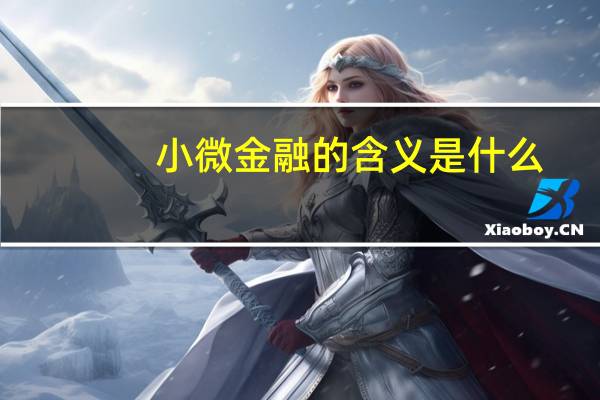 小微金融的含义是什么