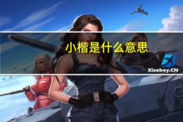 小楷是什么意思