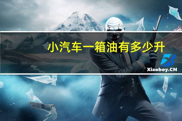 小汽车一箱油有多少升
