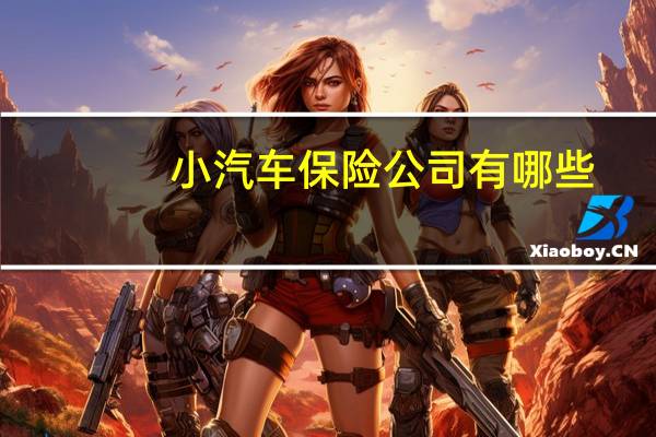 小汽车保险公司有哪些