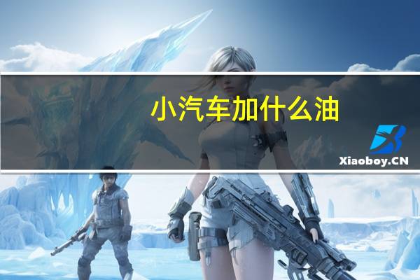 小汽车加什么油