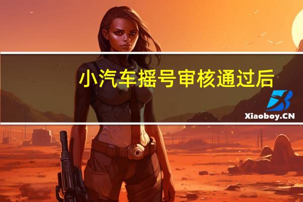 小汽车摇号审核通过后