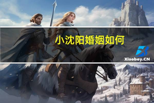 小沈阳婚姻如何