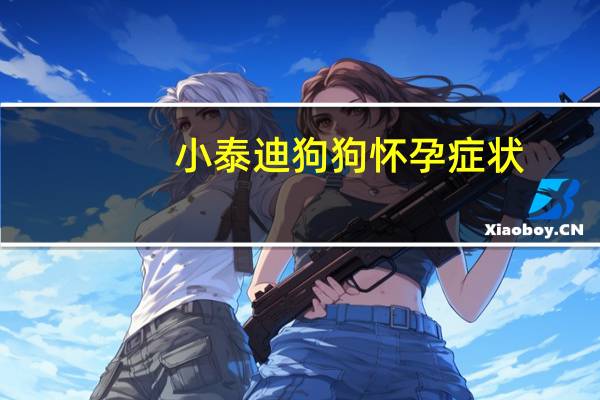小泰迪狗狗怀孕症状
